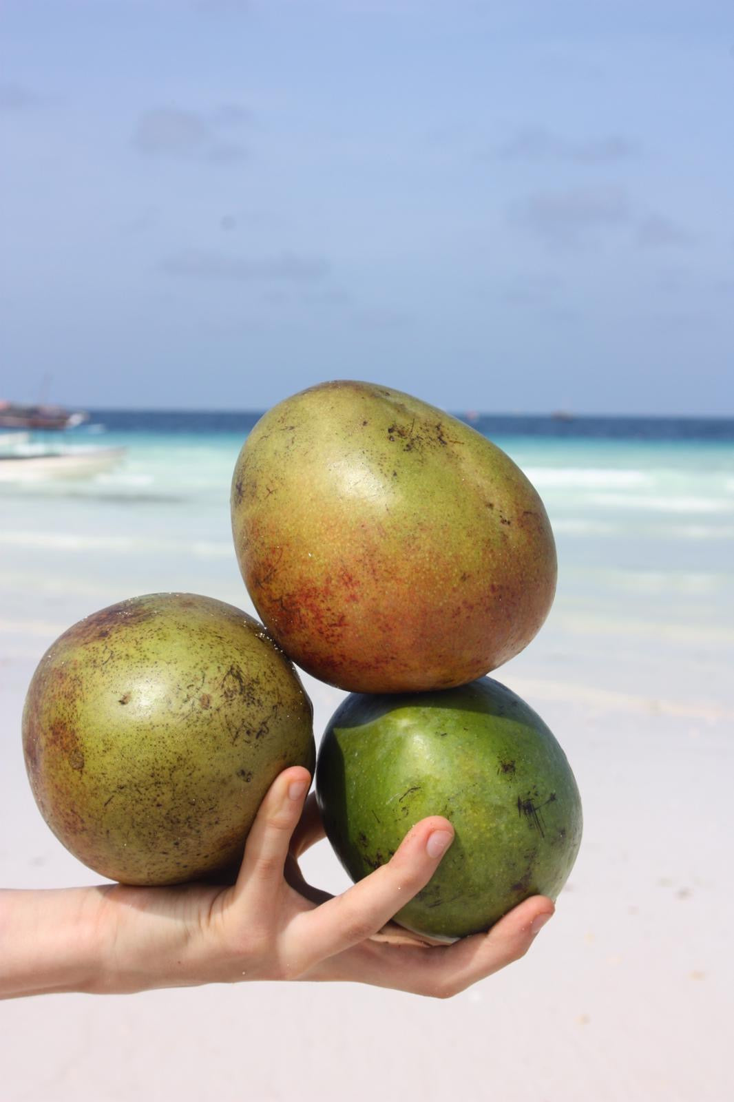 Africké Mango