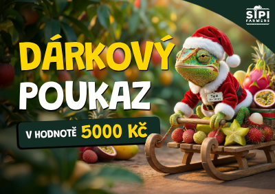 Vánoční dárkový poukaz