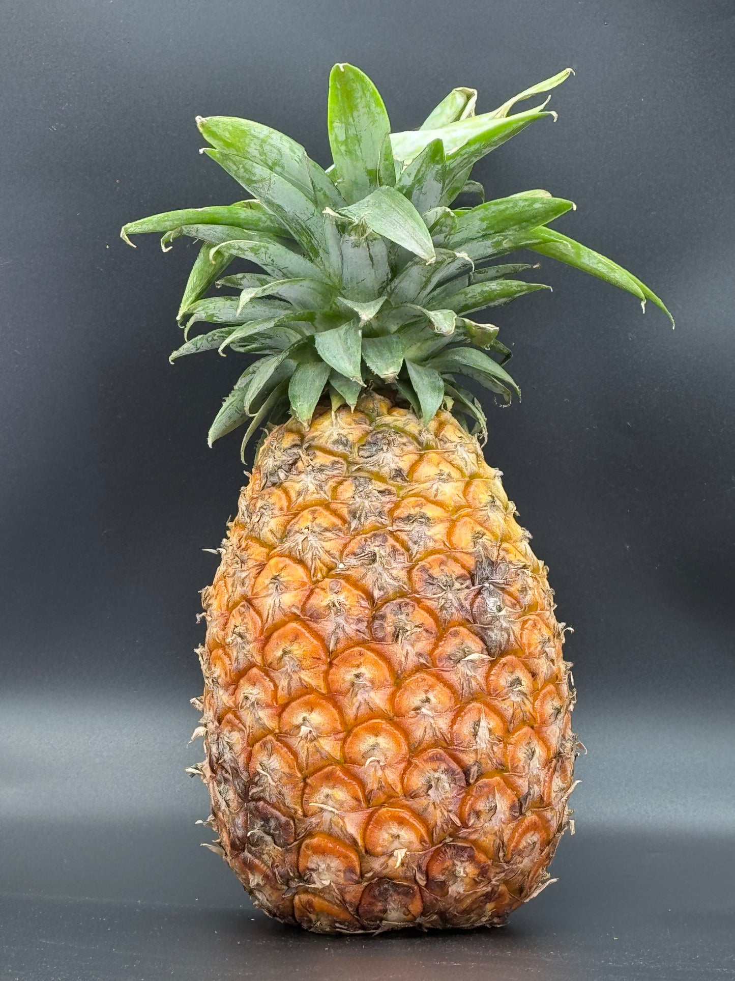 Ananas SIPI