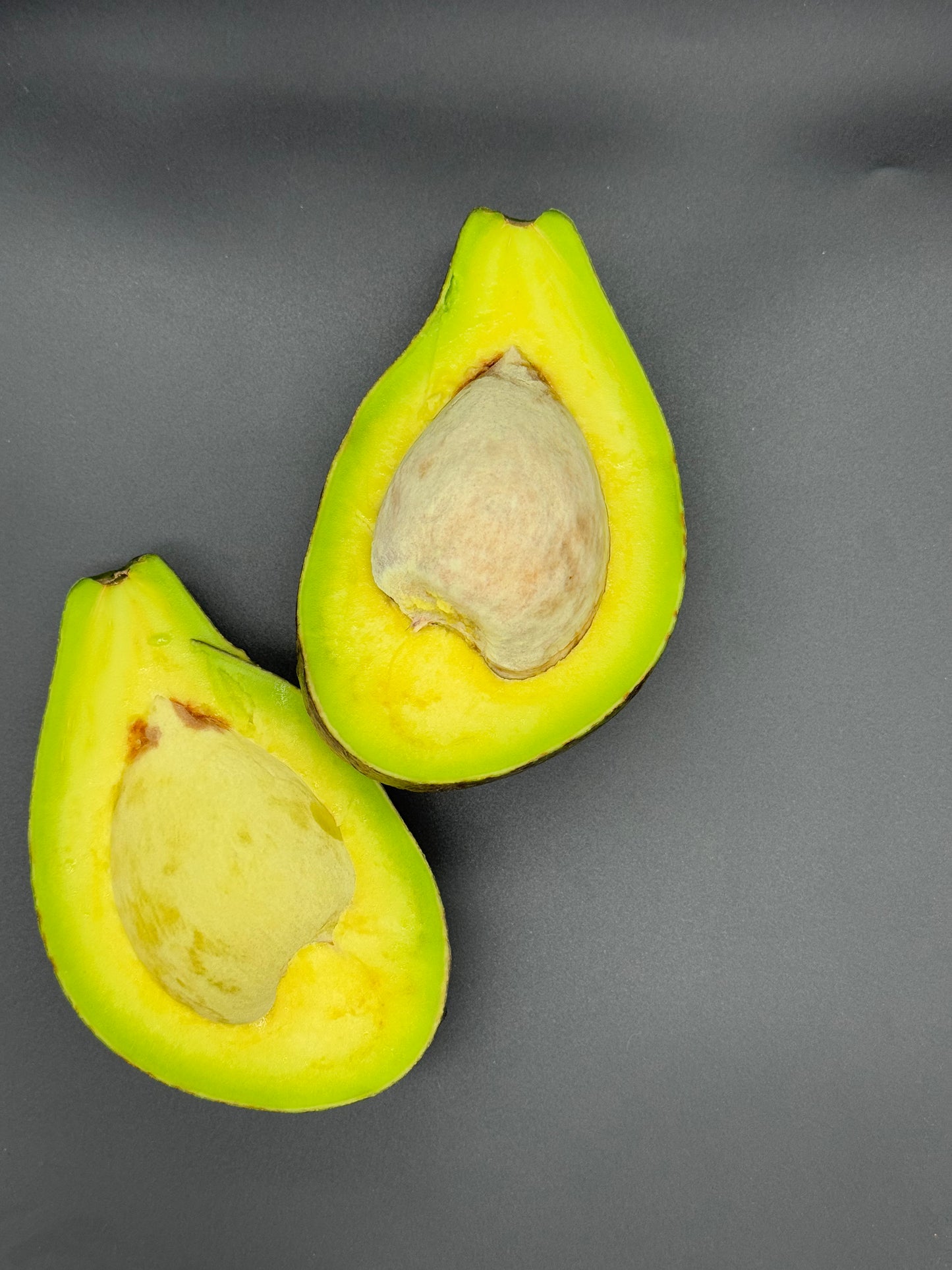 Avokádo SIPI