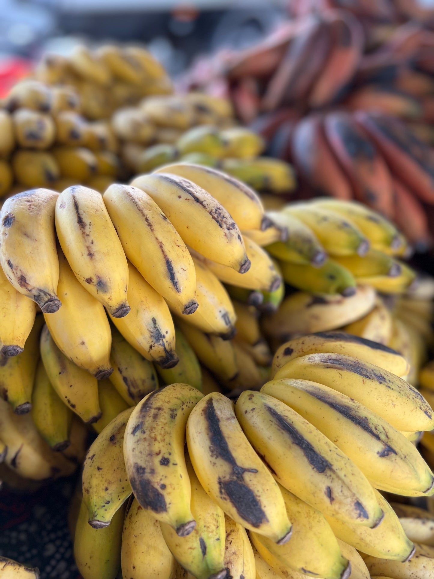 Apple banány z Ugandy