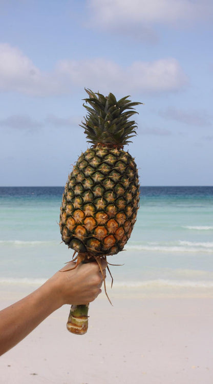 Ananas