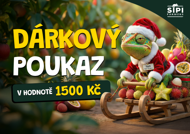 Vánoční dárkový poukaz