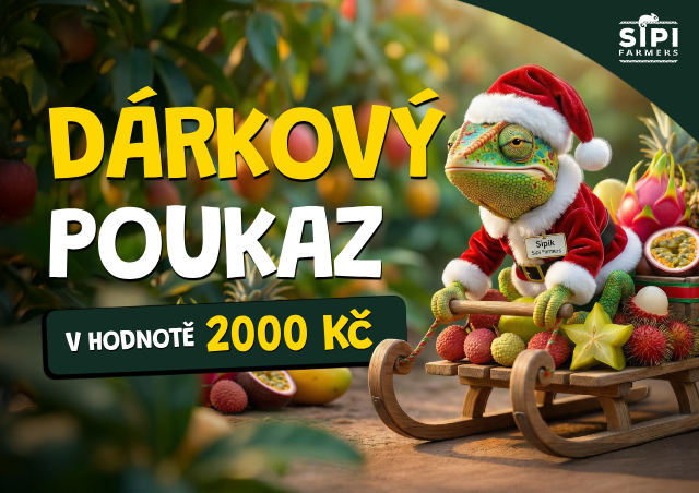 Vánoční dárkový poukaz