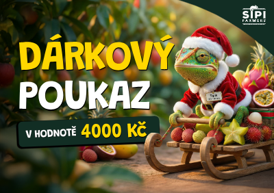 Vánoční dárkový poukaz