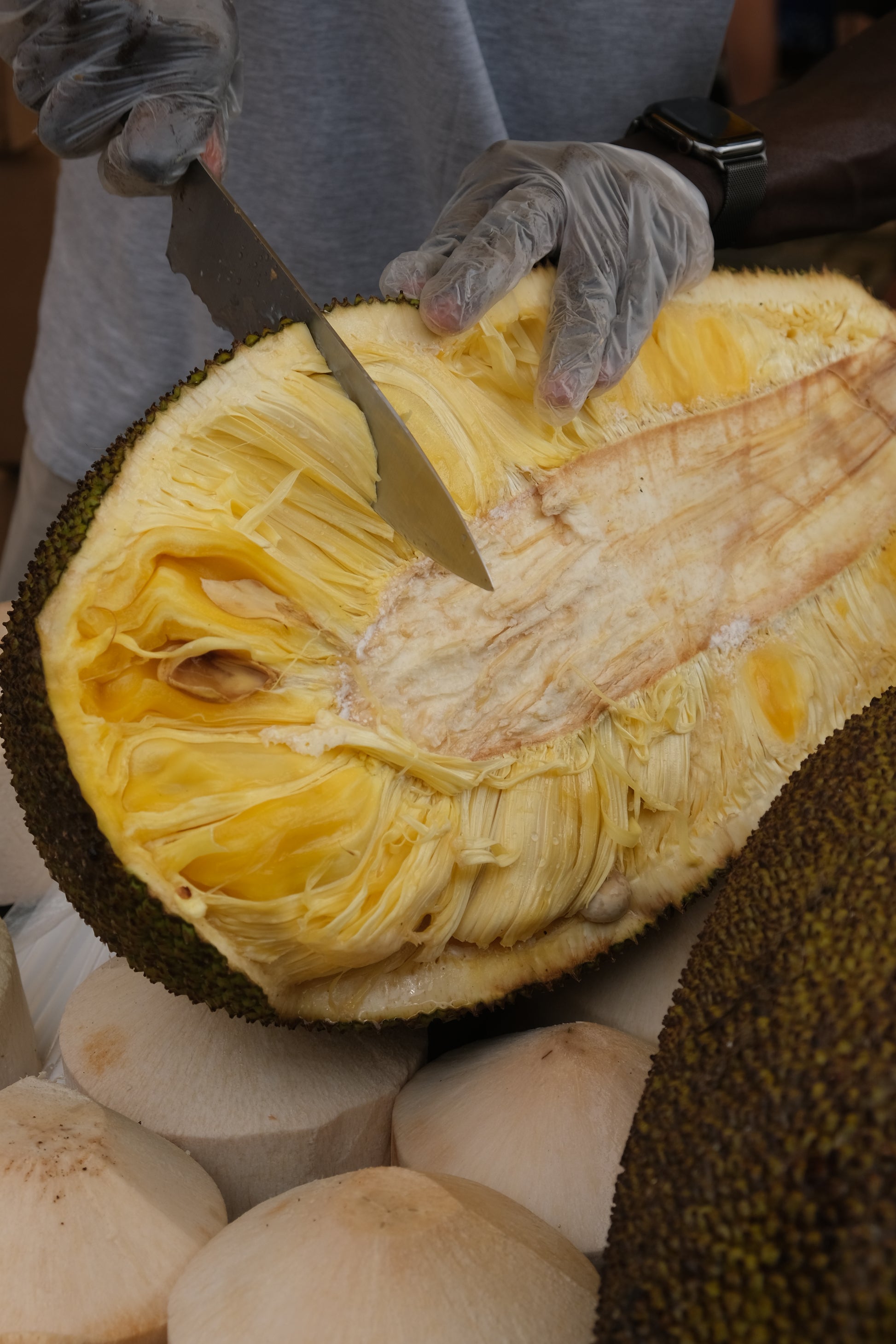 Zralý Jackfruit