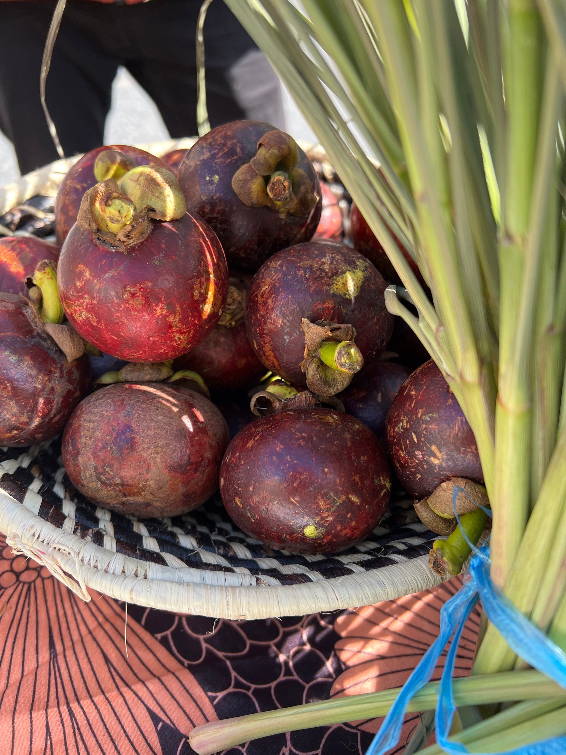 Mangostan z Asie