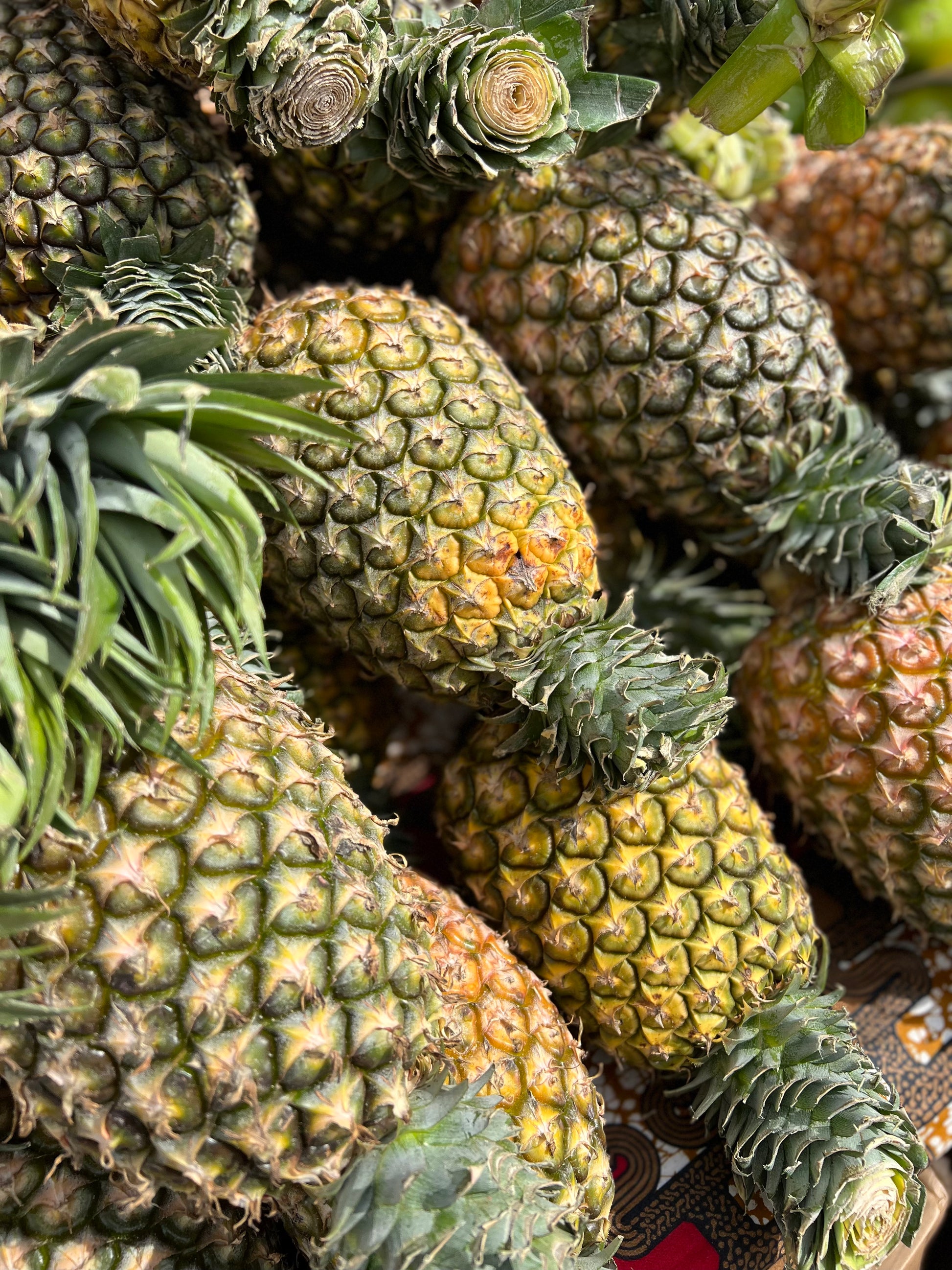 Ananas z Afriky
