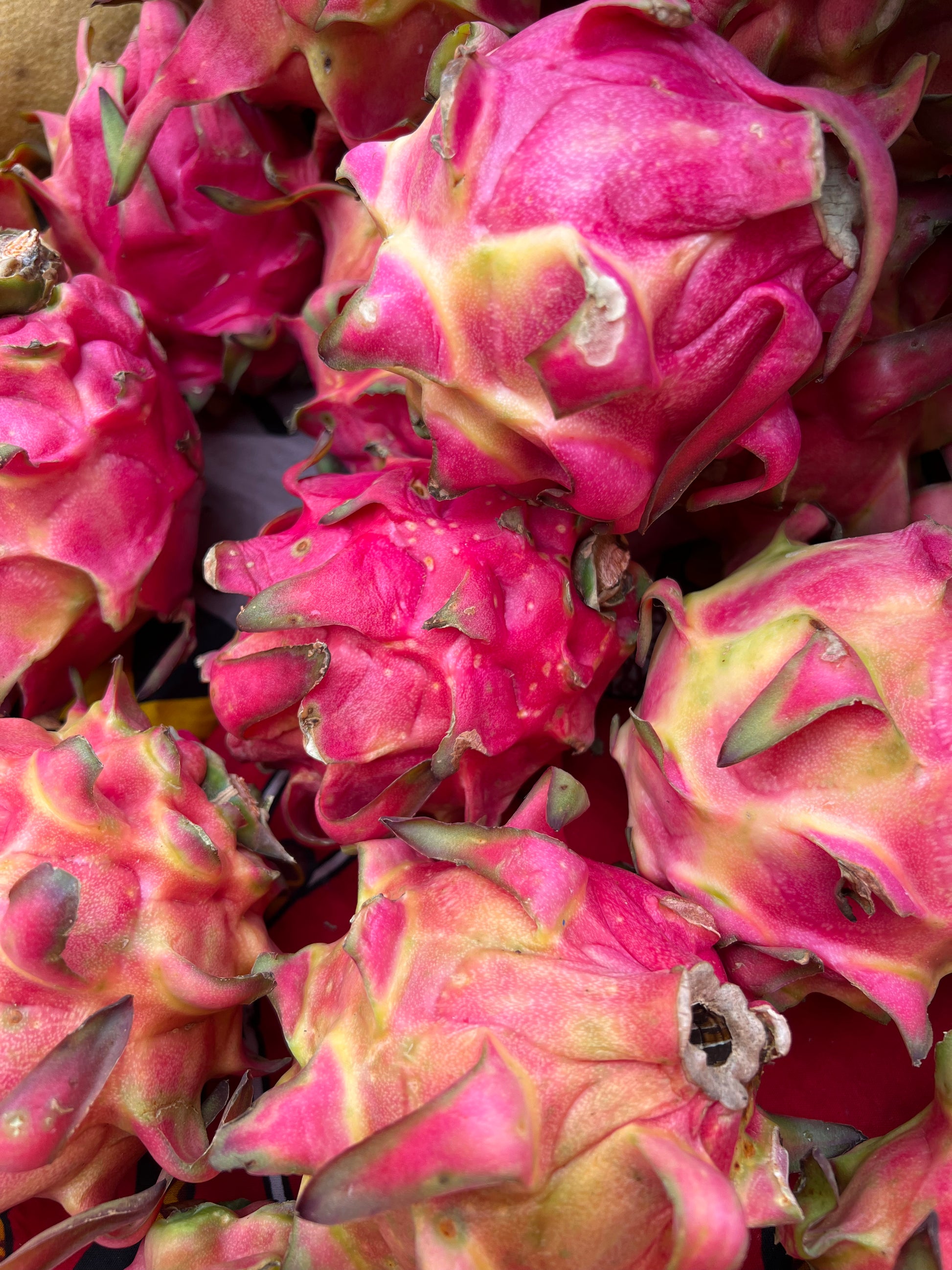 Pitahaya
